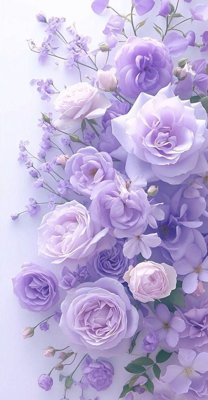Secret Garden Blooming Marvel